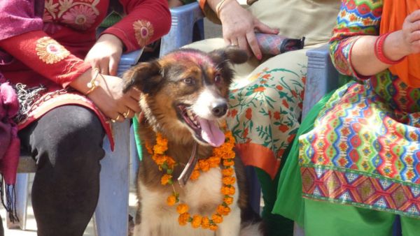 Diwali Like Festivals Around The World