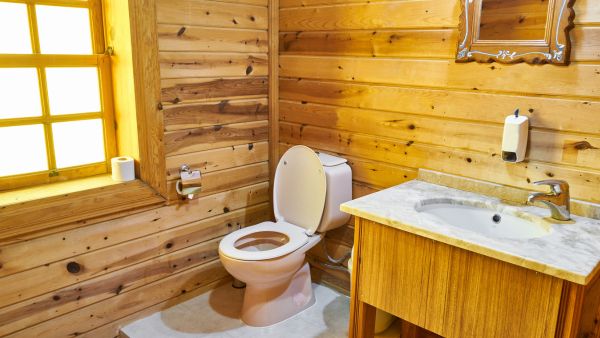 World Toilet Day 2023