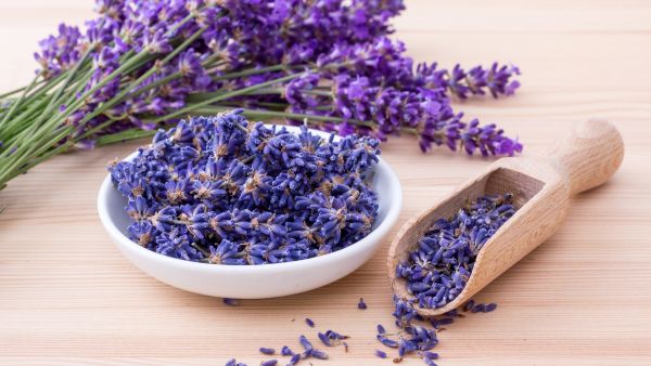 Natural Fragrance To Keep Rooms Fresh