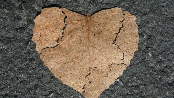 Why Does A Breakup Hurt?