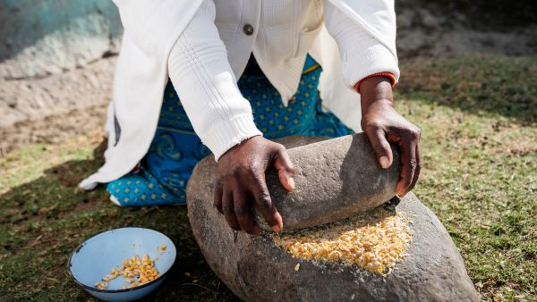 Legacy of Ancient AIDS Remedies