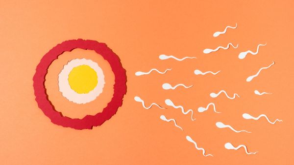 Is Your Food Pesticide-Ridden?