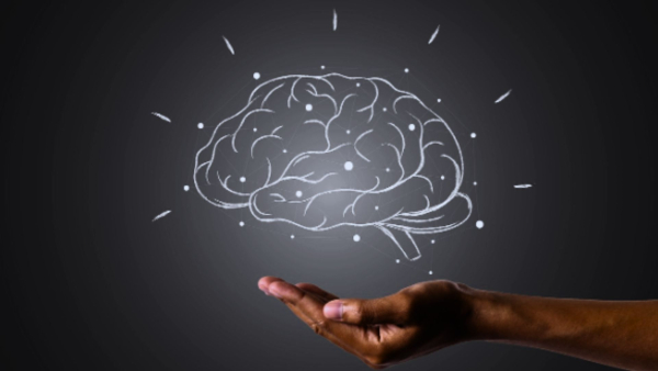 What Factors Contribute To Occurrence Of Status Epilepticus And Can Trigger It? Neuro Expert Shares Insights