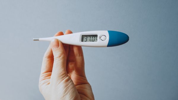 What Are The Causes Of Common Cold? What Are The Causes Of Common Cold?