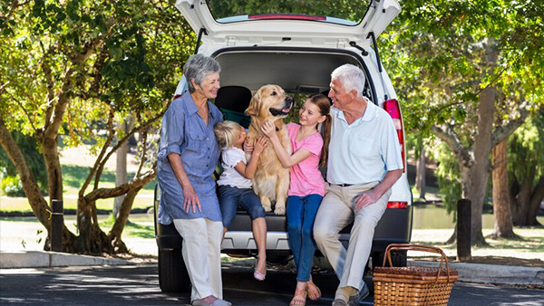 Year Ender 2023: 7 Travel Trends That Reigned Supreme This Year And Will Continue To Rule In New Year 2024