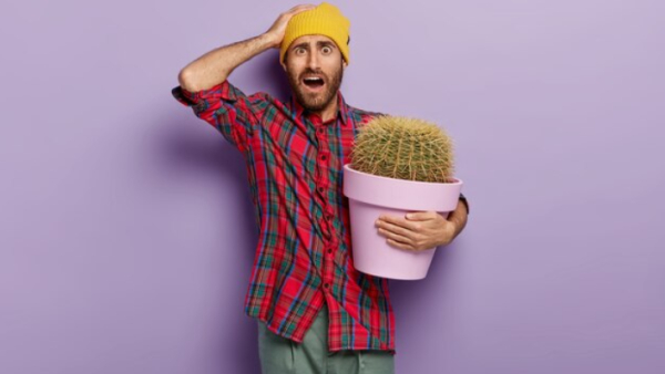 If Plants Had A Voice, How Would They Respond To Air Pollution? If Plants Had A Voice, How Would They Respond To Air Pollution?