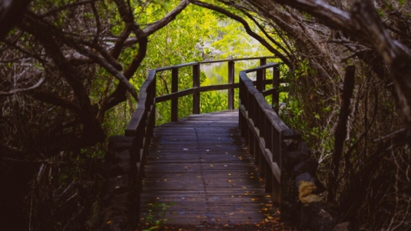 10 Insane Bridges That Will Make You Question Your Life Choices, Definitely Not For The Faint Of Heart!