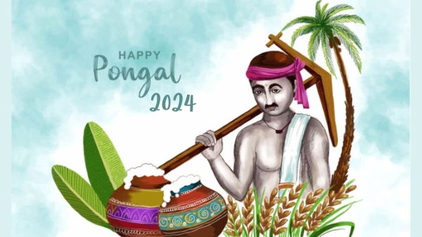 Pongal 2024: Wishes, Greetings, Messages, Texts, Images, WhatsApp And FB Status