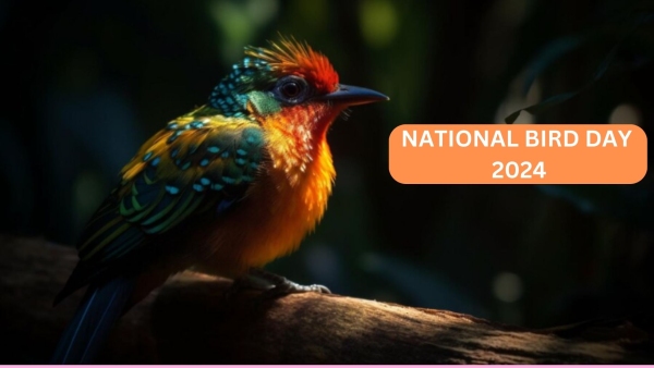 National Bird Day 2024: Greetings, Messages, Wishes, Images, Facebook And WhatsApp Status National Bird Day 2024: Greetings, Messages, Wishes, Images, Facebook And WhatsApp Status