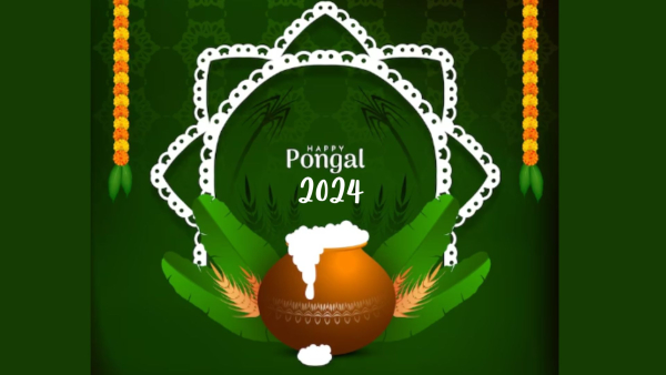 Pongal 2024: Wishes, Greetings, Messages, Texts, Images, WhatsApp And FB Status