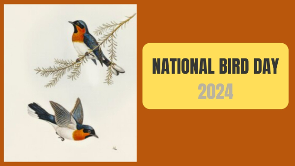National Bird Day 2024: Greetings, Messages, Wishes, Images, Facebook And WhatsApp Status National Bird Day 2024: Greetings, Messages, Wishes, Images, Facebook And WhatsApp Status