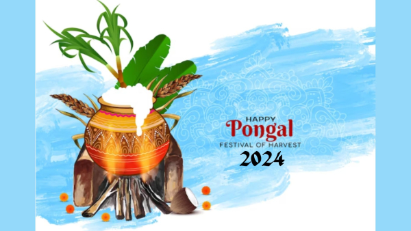 Pongal 2024: Wishes, Greetings, Messages, Texts, Images, WhatsApp And FB Status
