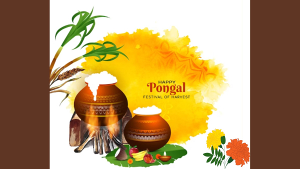 Pongal 2024: Wishes, Greetings, Messages, Texts, Images, WhatsApp And FB Status