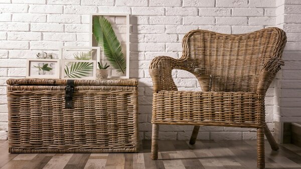 Why Cane Furniture Is So Popular Now, 6 Valid Reasons To Include Sustainable Pieces In Your Home Why Cane Furniture Is So Popular Now, 6 Valid Reasons To Include Sustainable Pieces In Your Home
