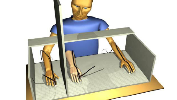 rubber hand illusion