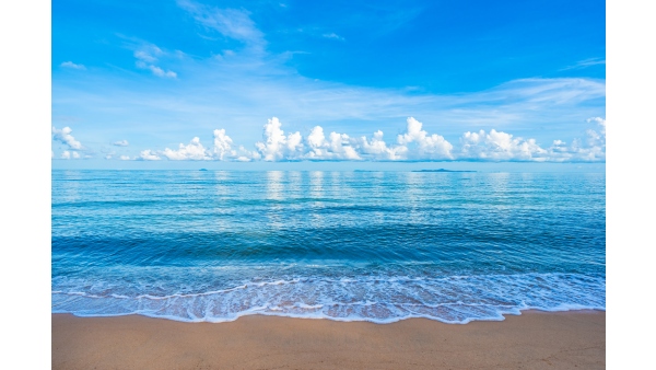 Science behind salinity