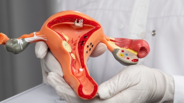 Exclusive: Actress Poonam Pandeys Tragic Death Sparks Urgency For Cervical Cancer Awareness