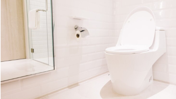Do You Know Who Invented The Flush Toilet? Know The Brief History