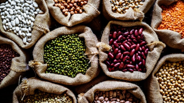  World Pulses Day 2024: Know Date, Theme, Types of Pulses and Their Nutritional Benefits
