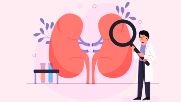 World Kidney Day 2024 Make These Essential Lifestyle Changes To Ensure Wellbeing Of Your Kidney