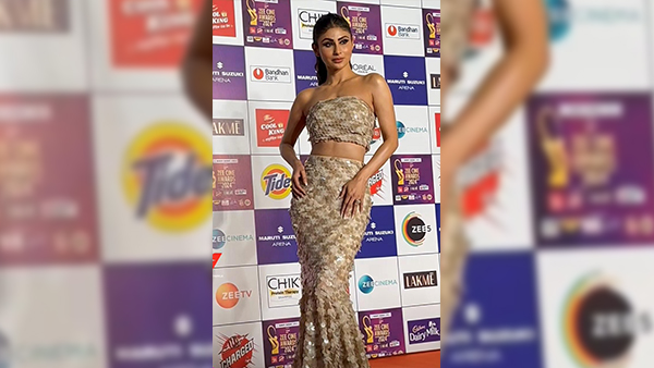 Zee Cine Awards 2024 Alia Bhatt SRK Rani Mukerji and Other B-Town Stars Impress With Their Red Carpet Style Pics