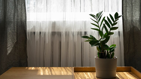 6 Best Furnishings To Keep Your Home Cool In Summer Expert Tips For Breezy Living