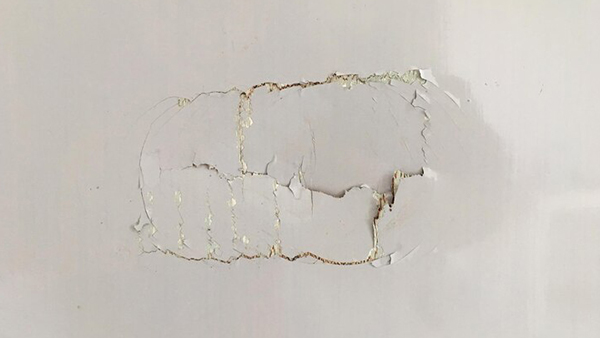 How To Prevent Mould On Walls 6 Essential Tips To Monsoon-Proof Your Home