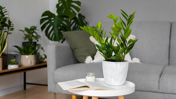 5 Practical Home Decor Ideas To Rainproof Your Space And Give It A Monsoom Makeover