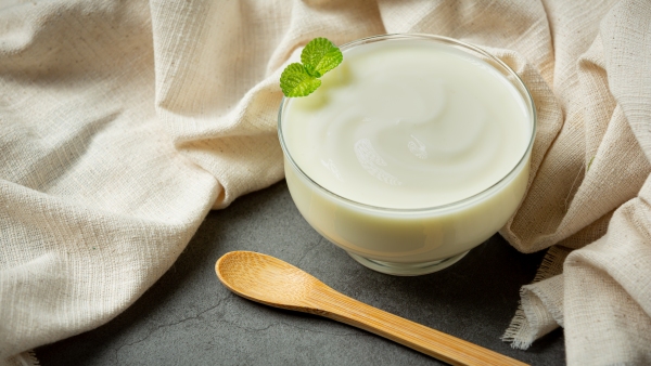 Plain Yogurt Vs Greek Yoghurt Which One Is Better For You In Summer