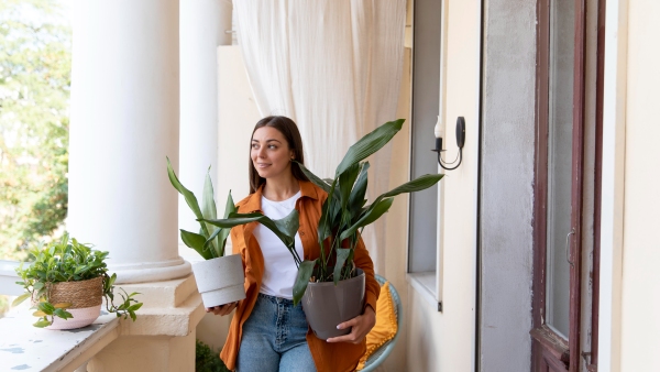 These 5 Plants Will Flourish In Summer And Transform Your Balcony Into A Colourful Paradise