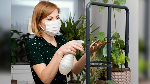 5 Effective Hacks To Keep Flies And Insects At Bay Stay Pest-Free This Monsoon