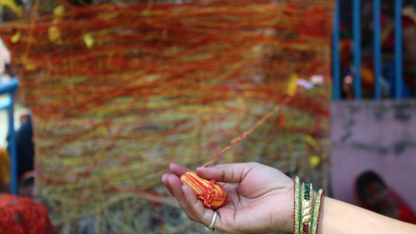 Vat Savitri Vrat 2024 Puja Samagri List That Are Essential For Puja And To Get Blessings Vat Savitri Vrat 2024 Puja Samagri List That Are Essential For Puja And To Get Blessings