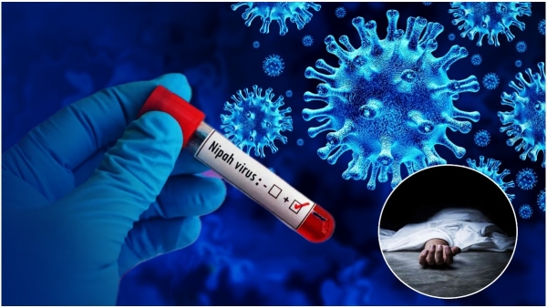 Nipah Virus In Kerala Who Are At Risk Early Signs That You Need To Watch Out For