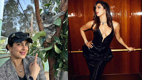 Priyanka Chopra Meets Her Koala Namesake In Australia Watch Her Overjoyed Reaction