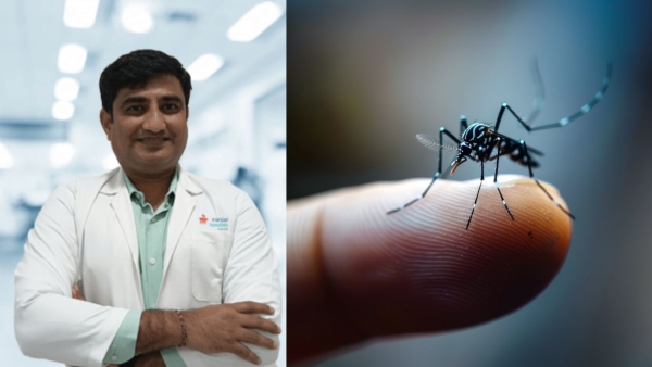 Exclusive Doctor Shares Who Is Most At Risk For Dengue Fever Here s Why Elderly People Be More Careful