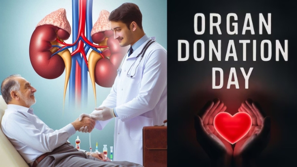 World Organ Donation Day 2024 Step-by-Step Guide To Donate A Kidney And Make a Life-Changing Impact