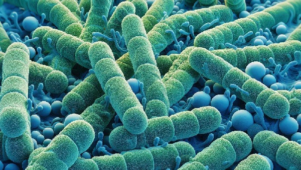 Dangers of Fried Rice Syndrome