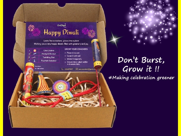Let s Celebrate An Eco-Friendly Diwali