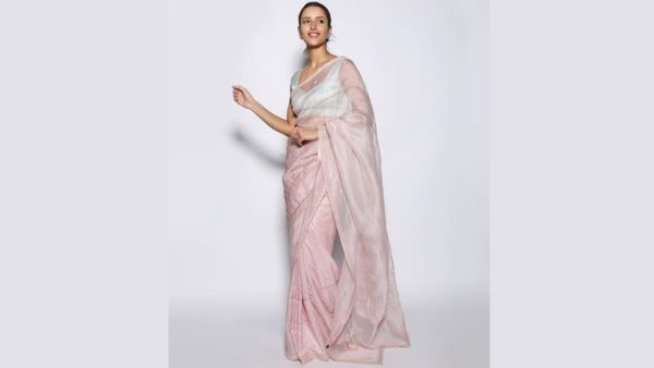Triptii Dimri s Saree Guide For Diwali