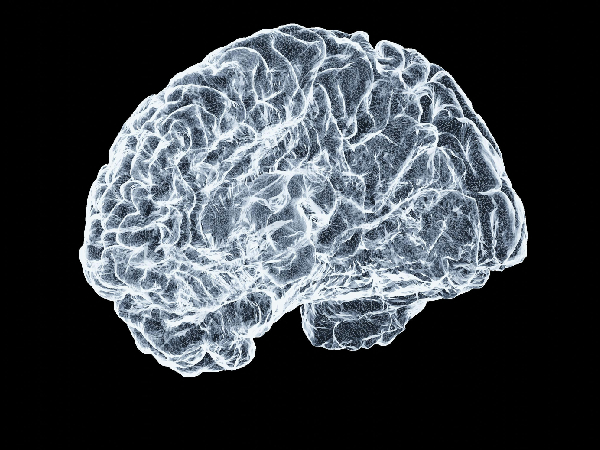 Groundbreaking discovery of Brain Signal Groundbreaking discovery of Brain Signal