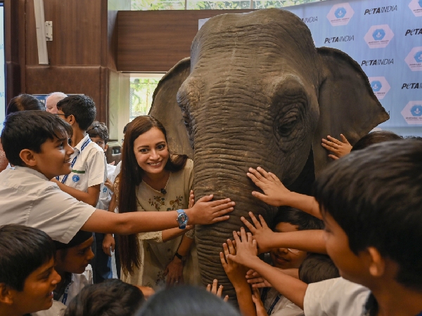 Dia Mirza The Environmentalist