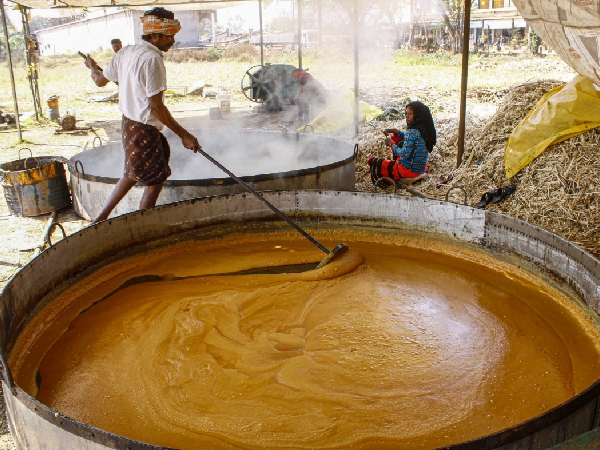 Significance Of Sweets In Makar Sakranti