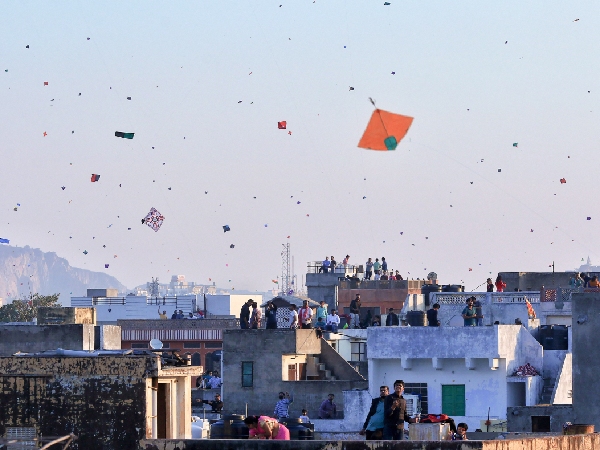 Kite Flying In Makar Sankranti 2025