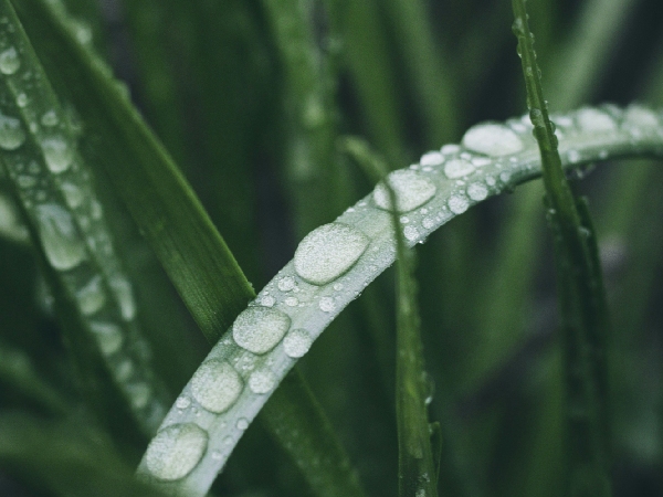 Top Food Trends In 2025