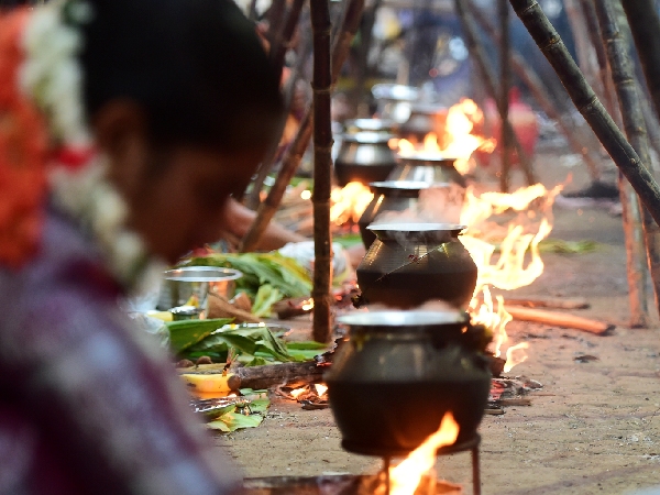 Significance Of Sweets In Makar Sakranti