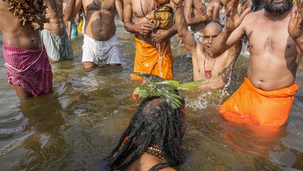 Basant Panchami At Maha Kumbh Mela