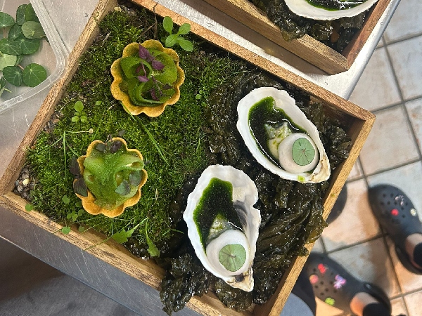 A Candid Conversation With Nick Honeyman A Candid Conversation With Nick Honeyman