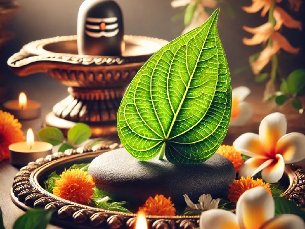 Bel Patra Significance In Maha Shivratri