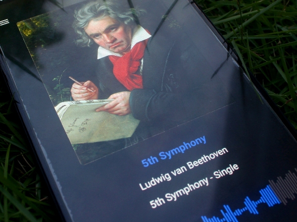 Beethoven s Hair Reveals Surprise