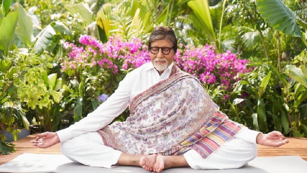 The Environment Conscious Celebrities The Environment Conscious Celebrities